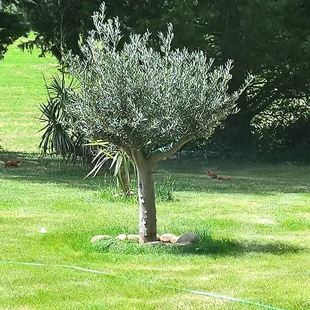 L'echappee Belle Hotel Beauvallon (Drome)